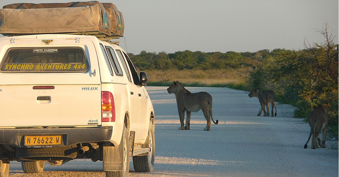 Across Africa - Afrique